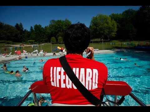 Lifeguard Management Certification