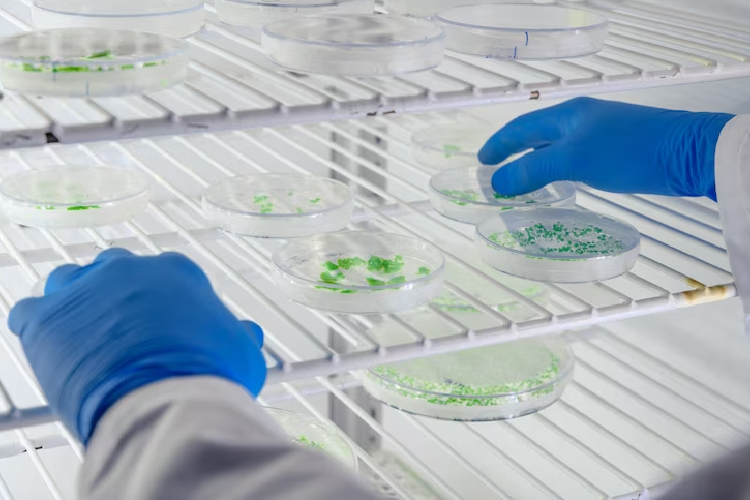 pharmaceutical waste disposal companies
