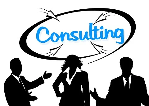 small business consultant