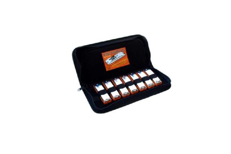 diatonic harmonica set