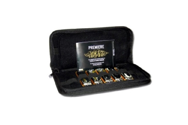 diatonic harmonica set