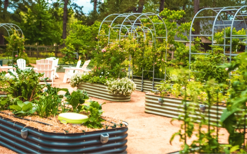 galvanized raised bed planter