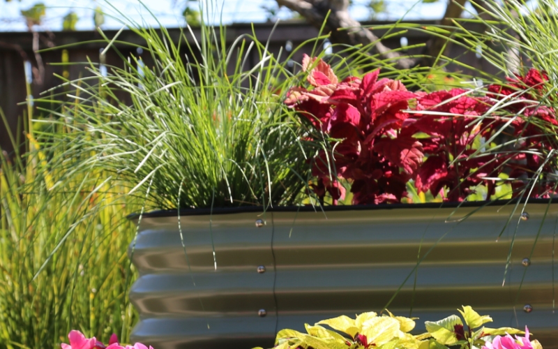 galvanized raised bed planter